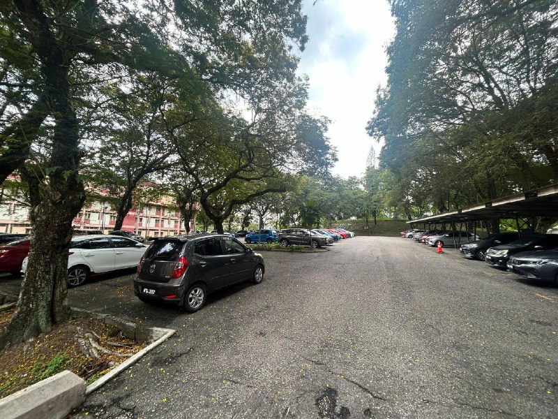 [IMPORTANT NOTICE: TREE FELLING WORKS AT BLOCK DEF PARKING AREA]⚠️