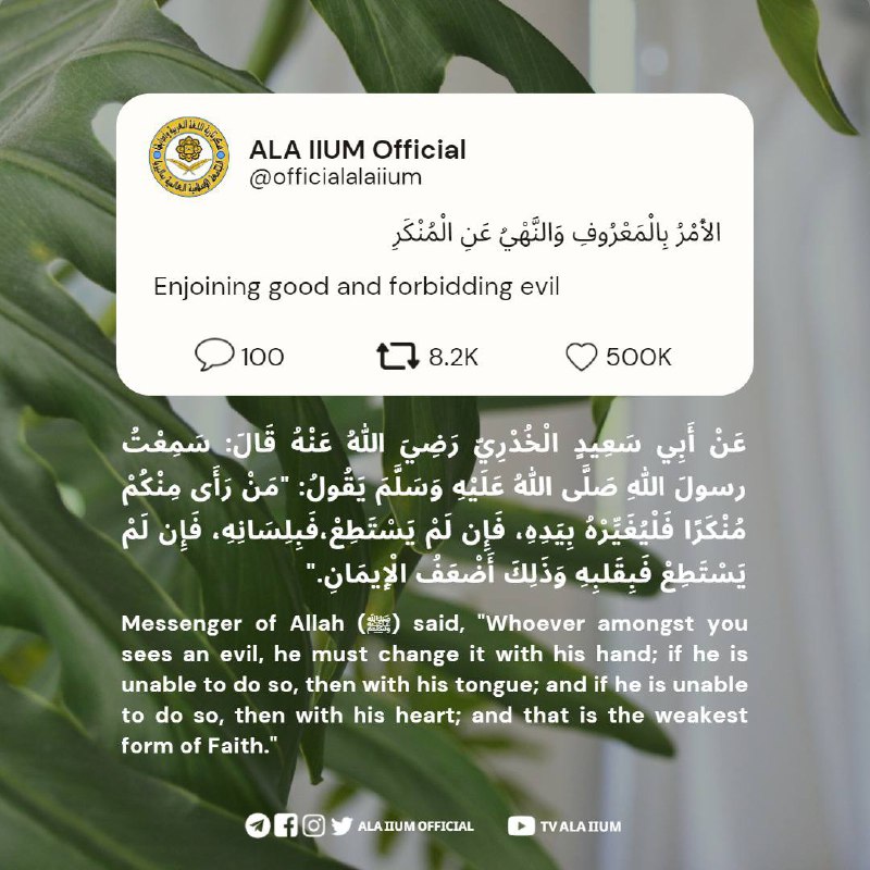 📜 المعلومات الإسلامية 📜
