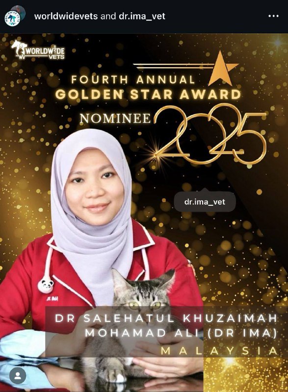 Assalamualaikum all, I have been nominated as one of the FOURTH ANNUAL GOLDEN ST