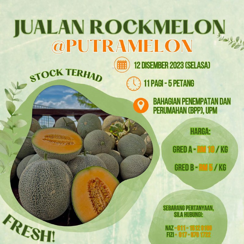 🍈ROCK MELON SALE🍈@PutraMelon