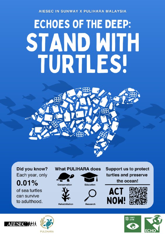 🌊Echoes of The Deep: Stand with Turtles!🌊